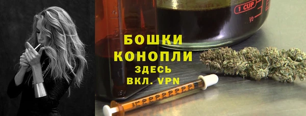 сатива Козельск