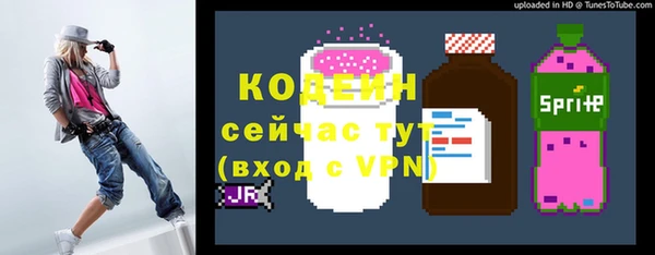 сатива Козельск