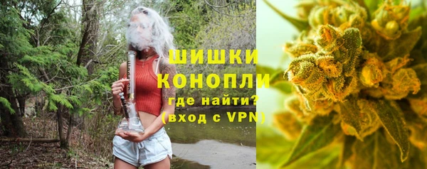 сатива Козельск