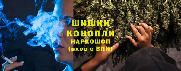 сатива Козельск