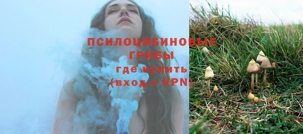 сатива Козельск