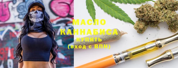 сатива Козельск