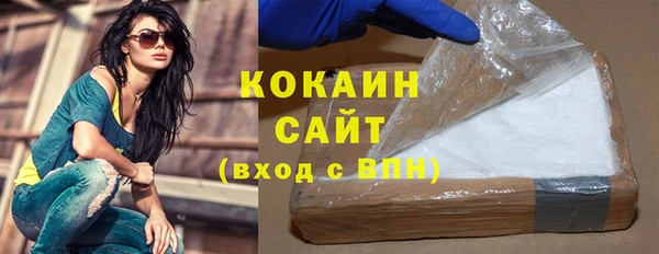 сатива Козельск